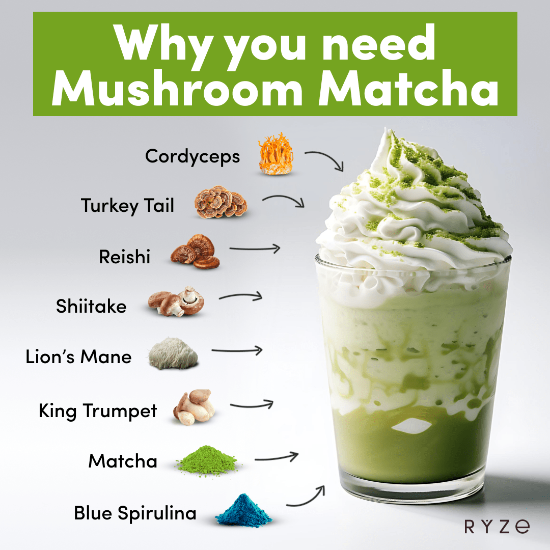 Mushroom Matcha - with 6 Organic Adaptogenic Mushrooms Grown In USA and Ceremonial-Grade Japanese Matcha - Image 3