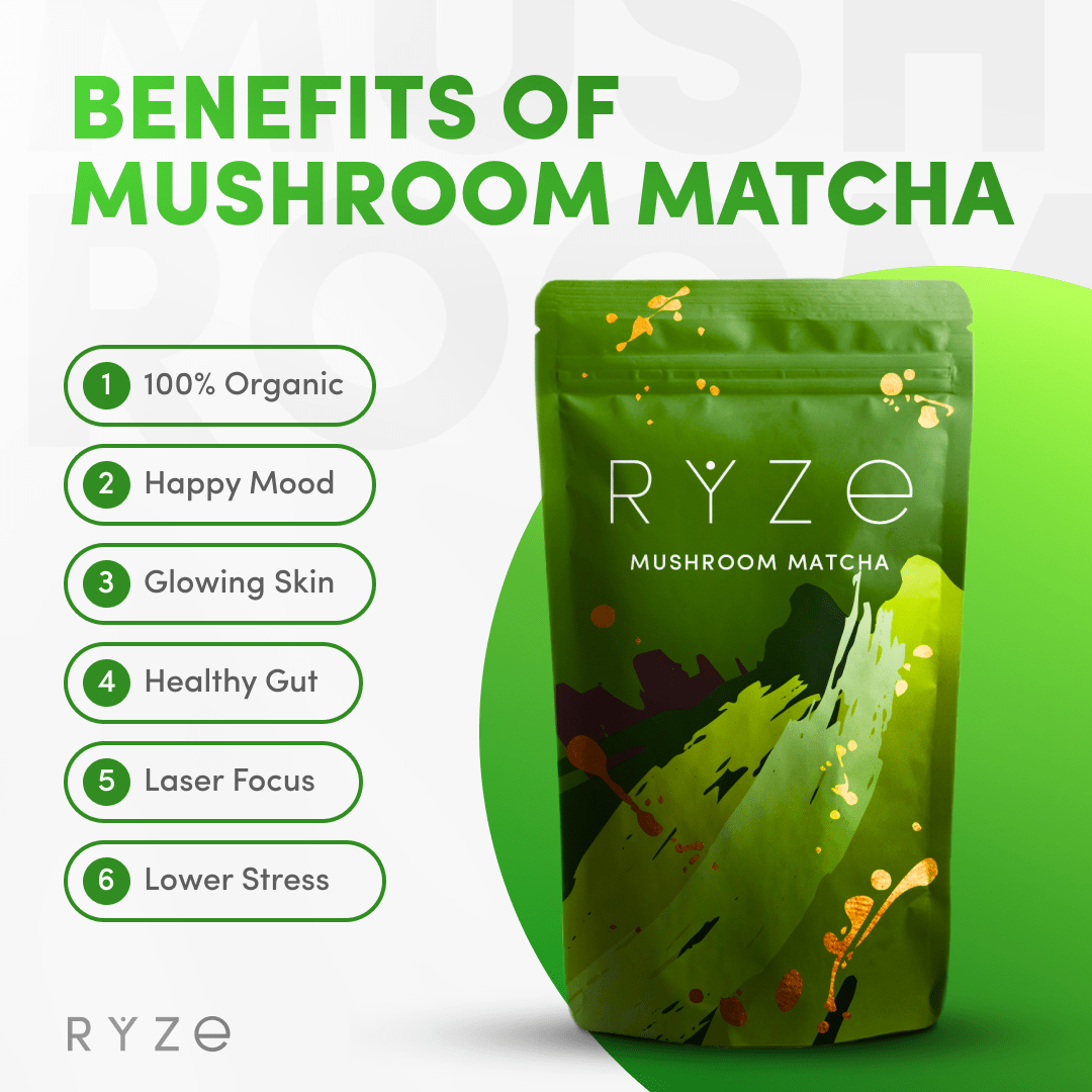 Mushroom Matcha - with 6 Organic Adaptogenic Mushrooms Grown In USA and Ceremonial-Grade Japanese Matcha - Image 4