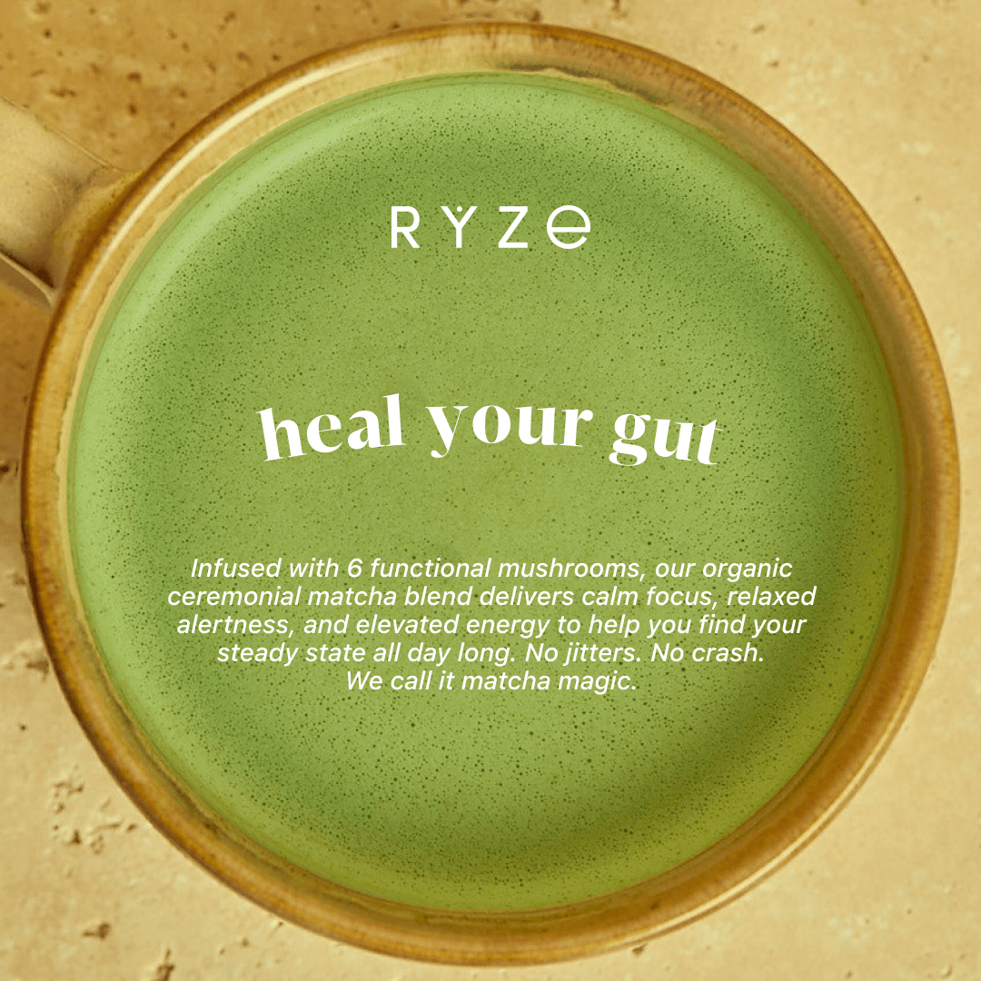 Mushroom Matcha - with 6 Organic Adaptogenic Mushrooms Grown In USA and Ceremonial-Grade Japanese Matcha - Image 5
